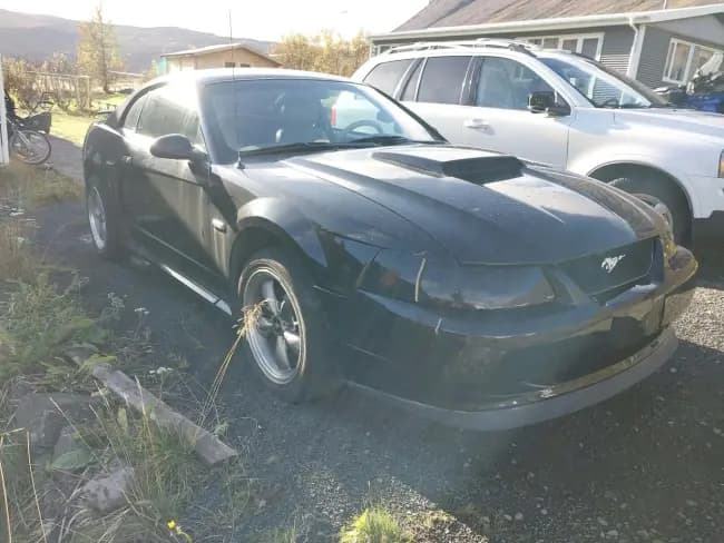 2003 Ford Mustang