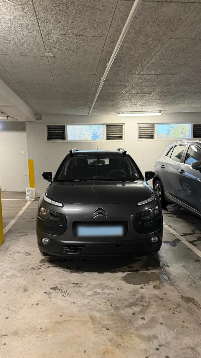 2015 Citroën C4 Cactus
