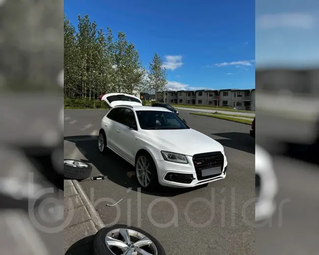 2013 Audi SQ5