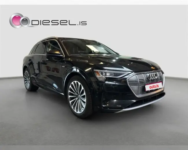 2019 Audi e-tron