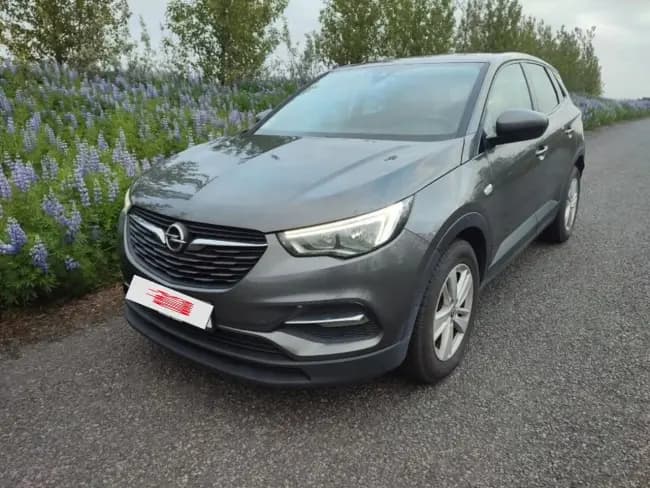 2019 Opel Grandland X