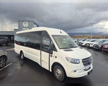 Mercedes-Benz Sprinter 519 19 1 X-Langur