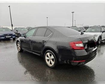 2019 Škoda Octavia