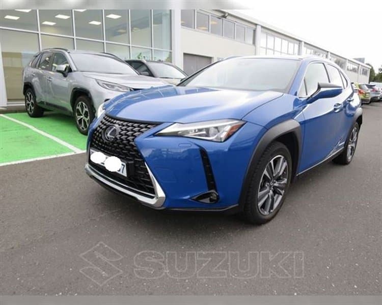 2021 Lexus UX 300e
