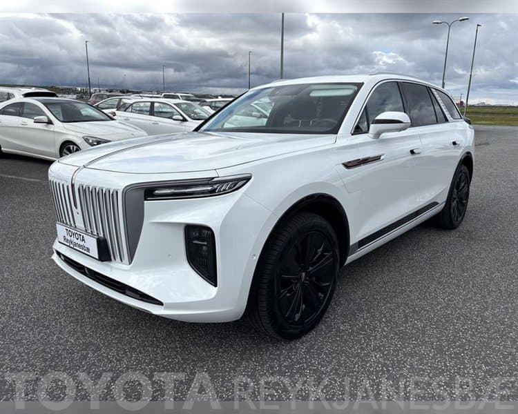 2022 Hongqi E-HS9
