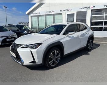 2021 Lexus UX 300e