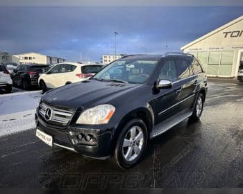 2010 Mercedes-Benz GL 450 4MATIC Topplúga
