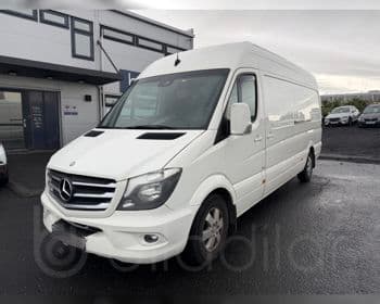 2015 Mercedes-Benz Sprinter 319 Langur
