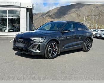 2023 Audi Q8 55 e-tron