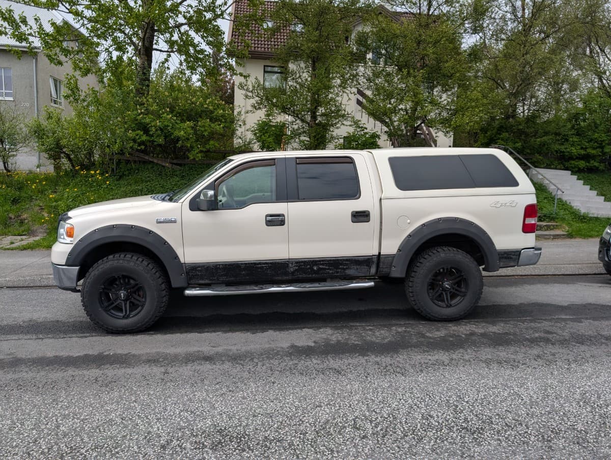2007 Ford F-150