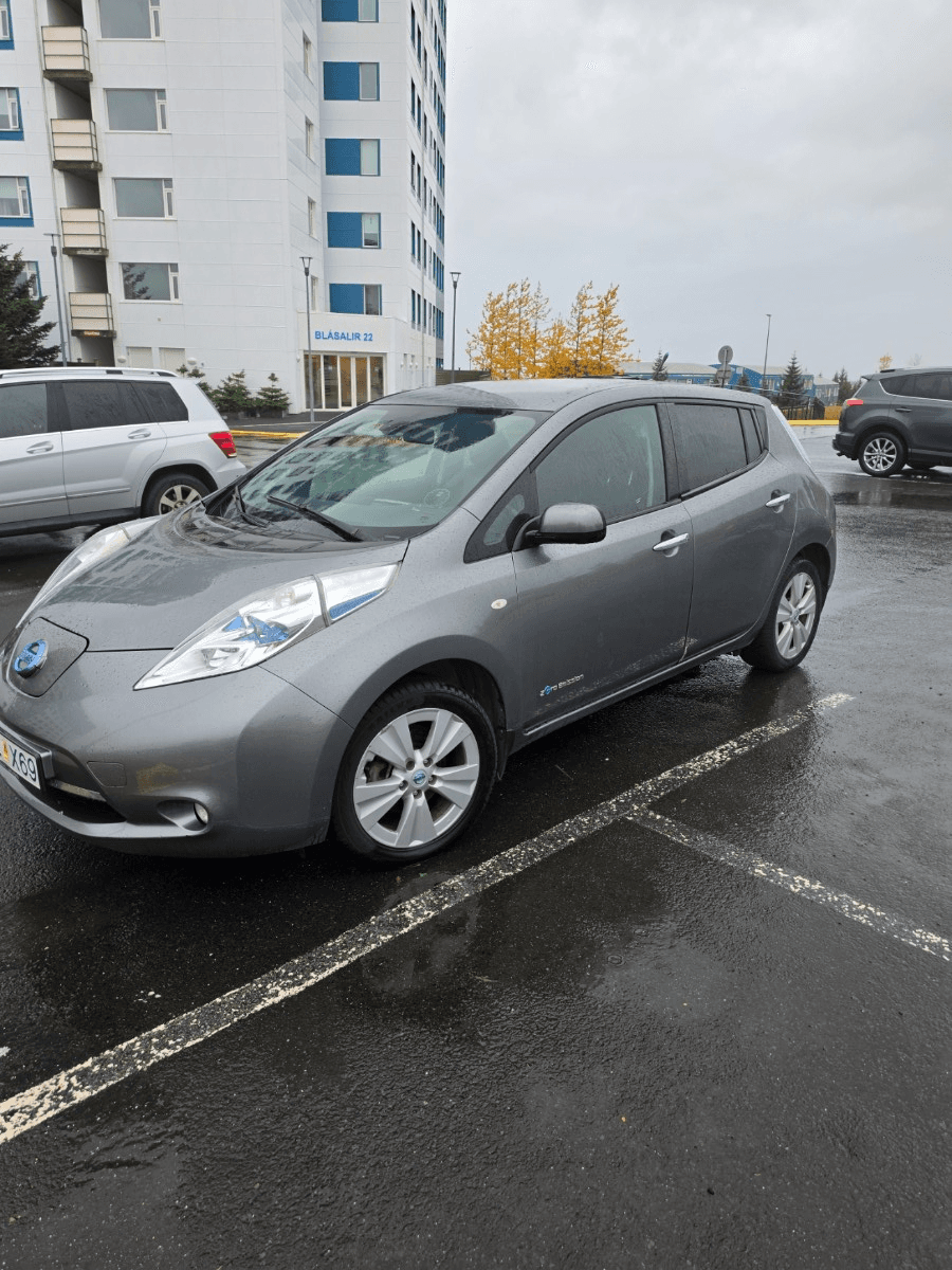 2014 Nissan Leaf