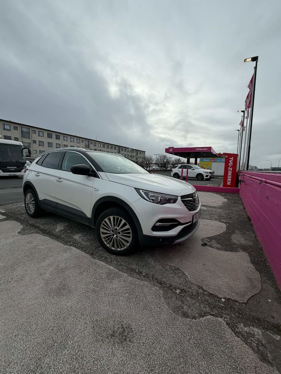 2019 Opel Grandland X