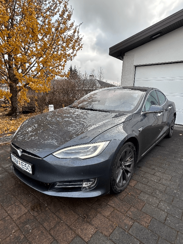 2019 Tesla Model S D100