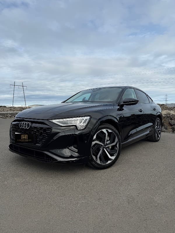 2024 Audi Q8 55 Etron