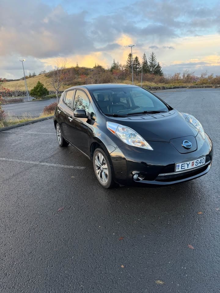 2014 Nissan Leaf