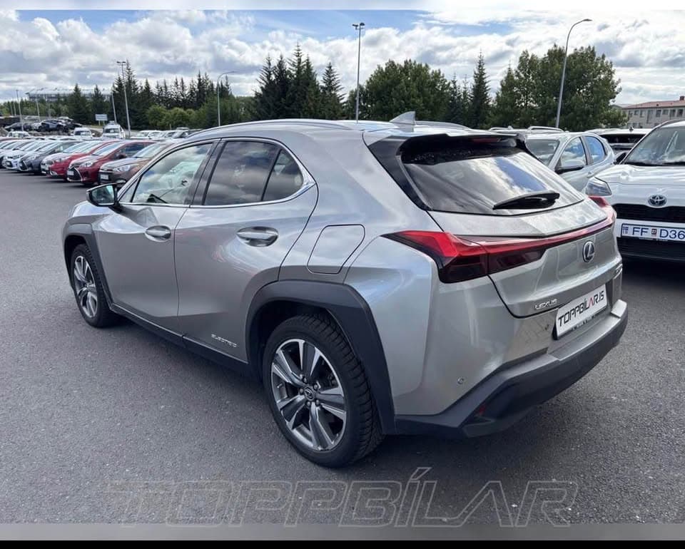 2021 Lexus UX 300e