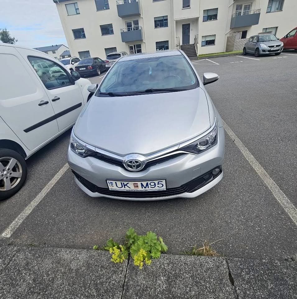2016 Toyota Auris