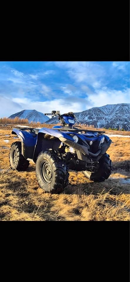 2017 Yamaha Grizzly