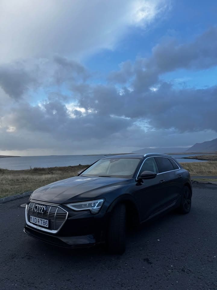 2019 Audi e-tron 50