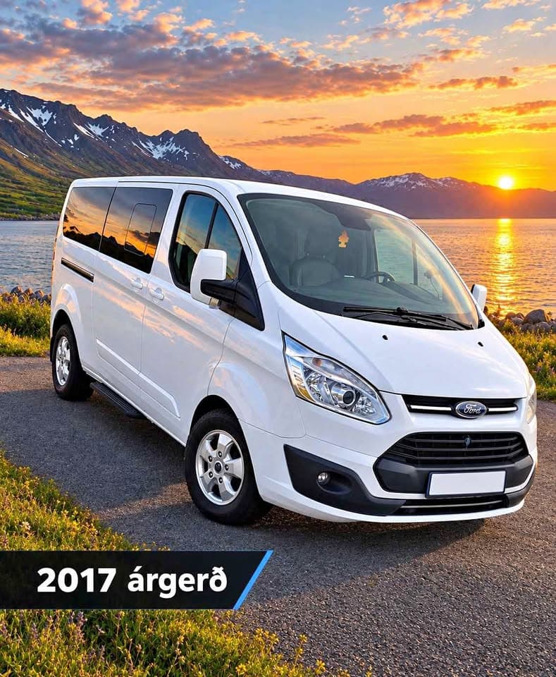 2017 Ford Transit Custom