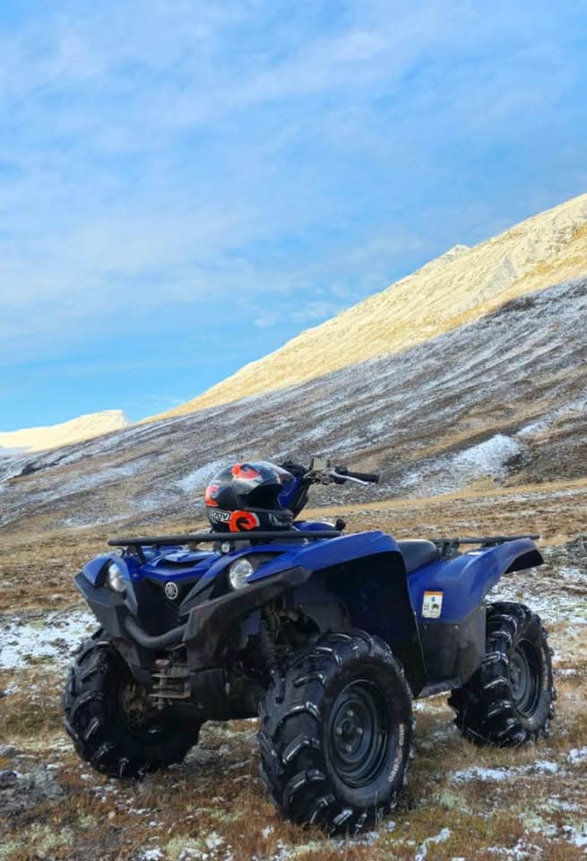 2017 Yamaha Grizzly