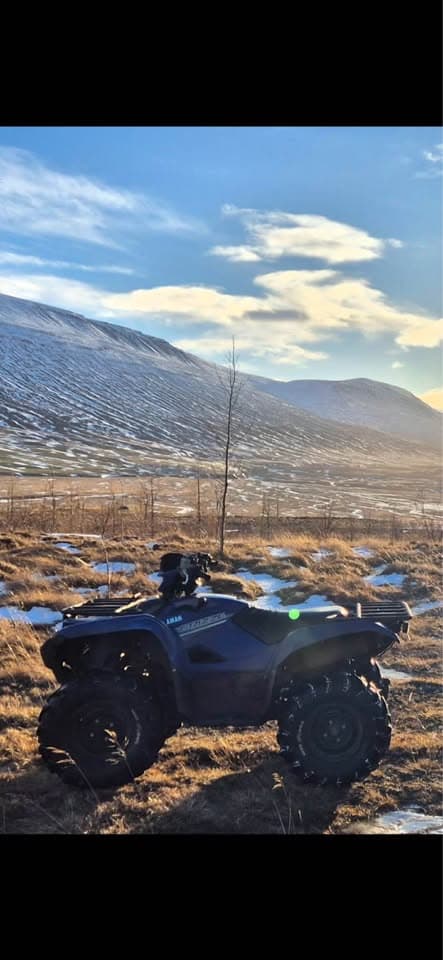 2017 Yamaha Grizzly