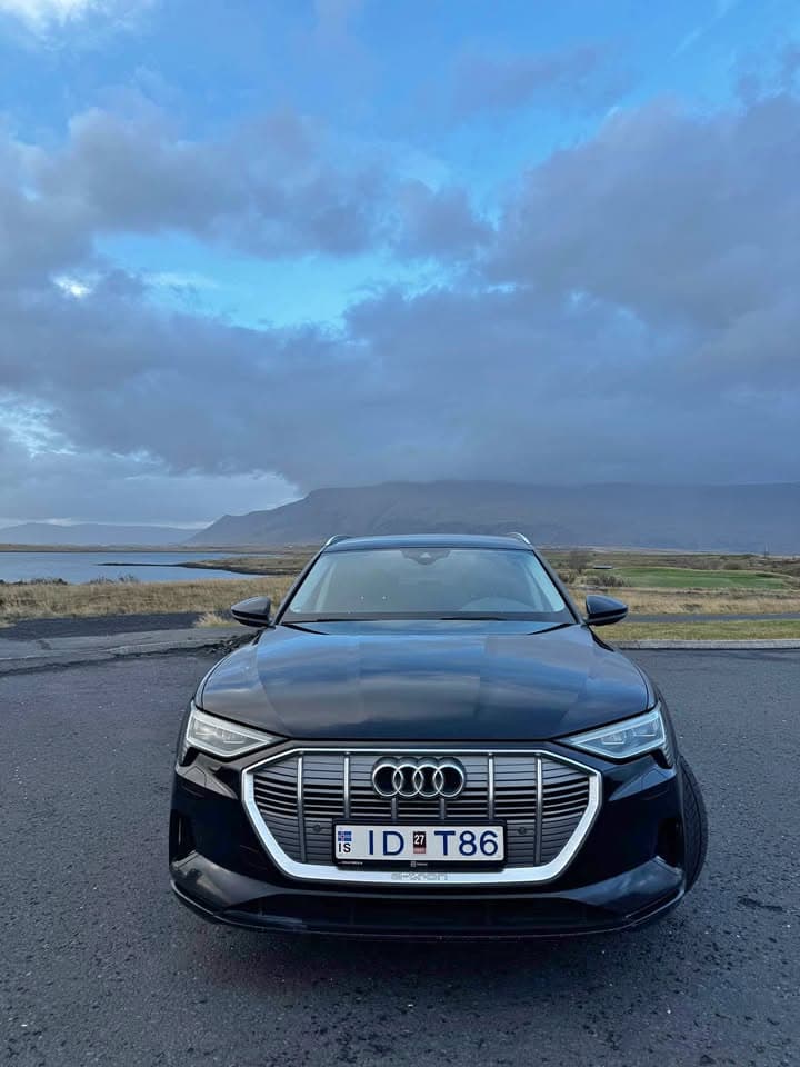 2019 Audi e-tron 50