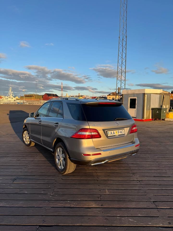 2014 Mercedes-Benz ML 250