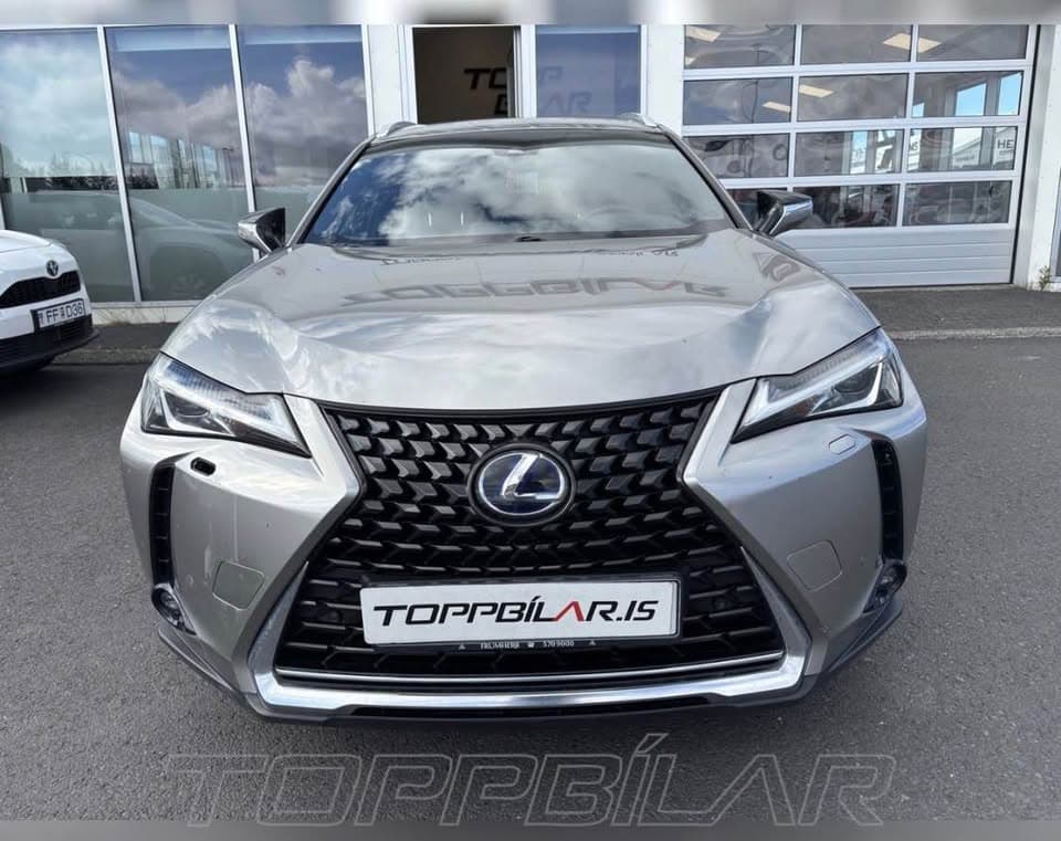 2021 Lexus UX 300e
