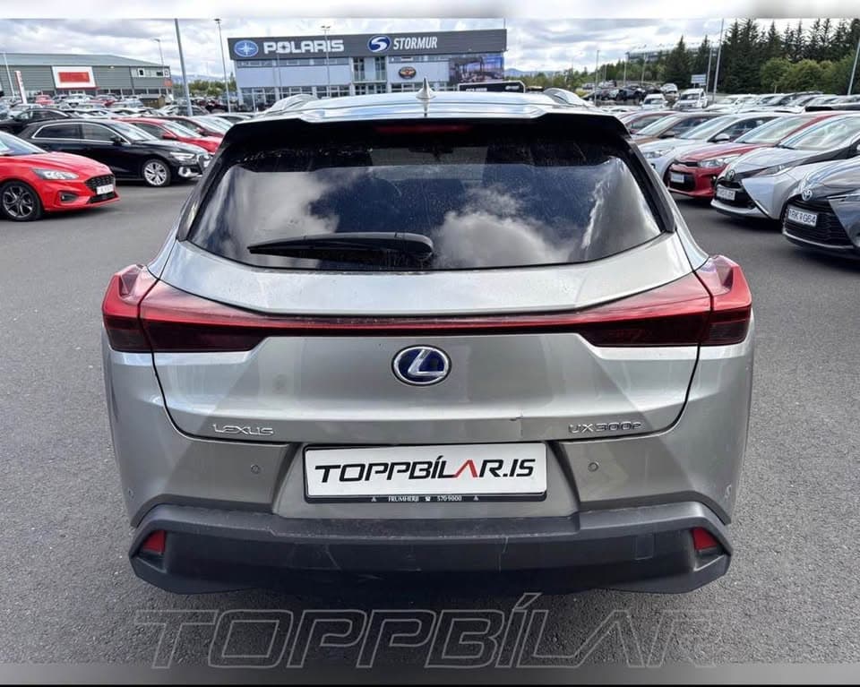 2021 Lexus UX 300e