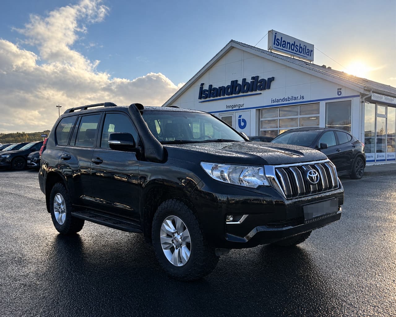 2019 Toyota Land Cruiser