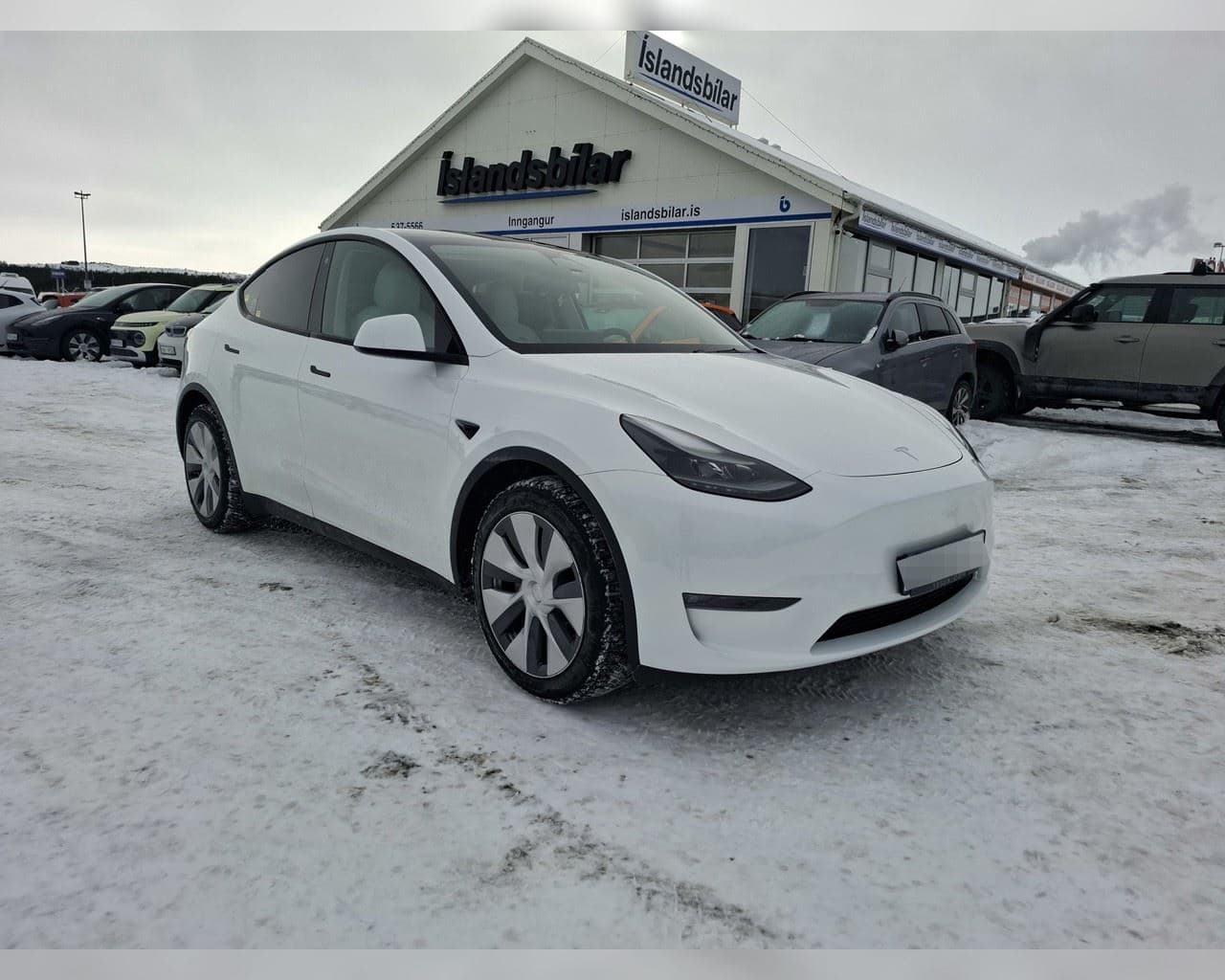 2024 Tesla Model Y