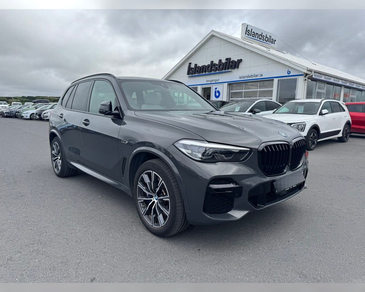 2023 BMW X5