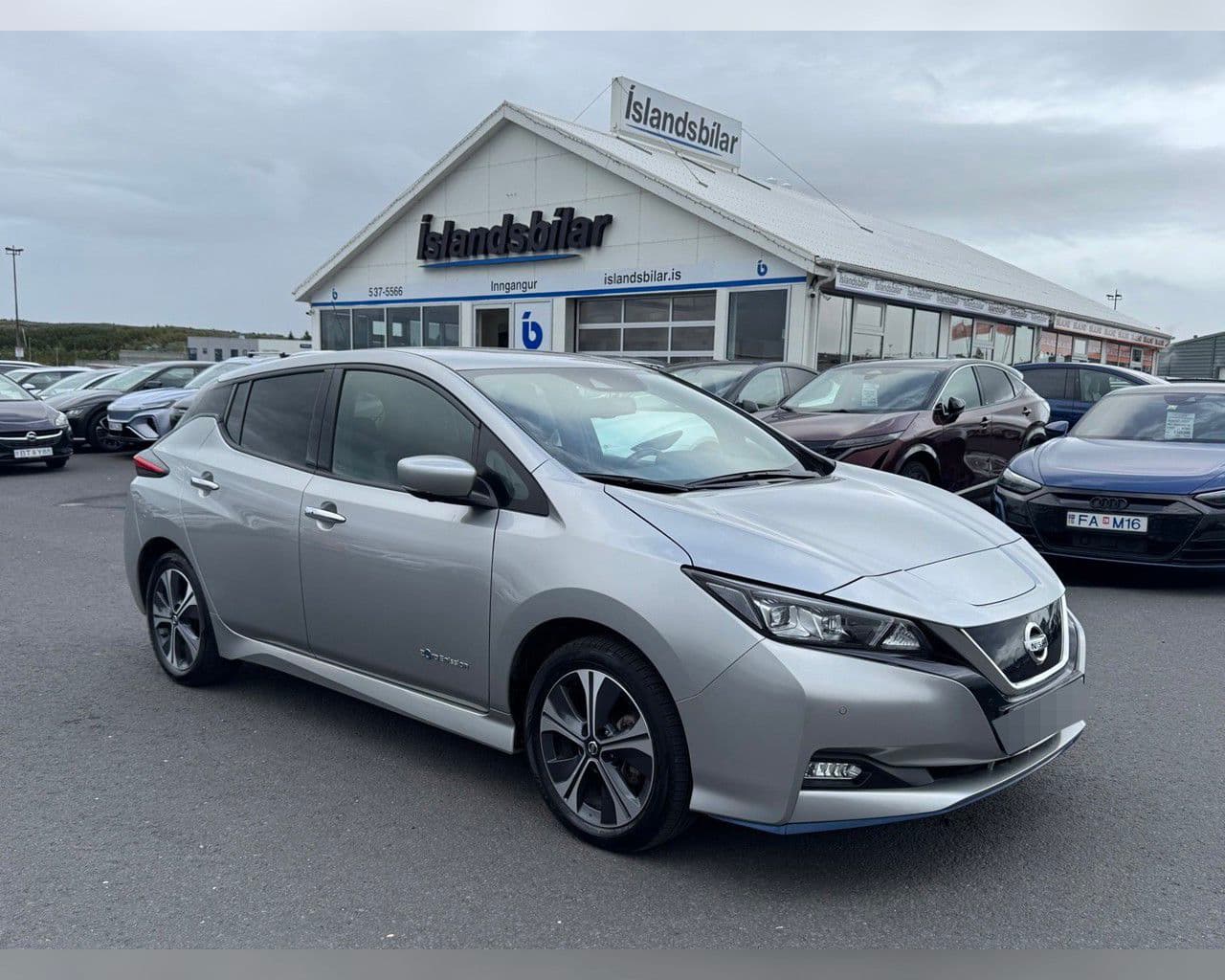 2021 Nissan Leaf