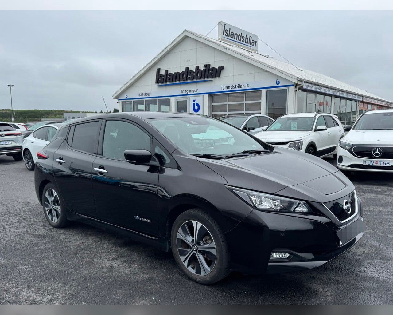 2019 Nissan Leaf