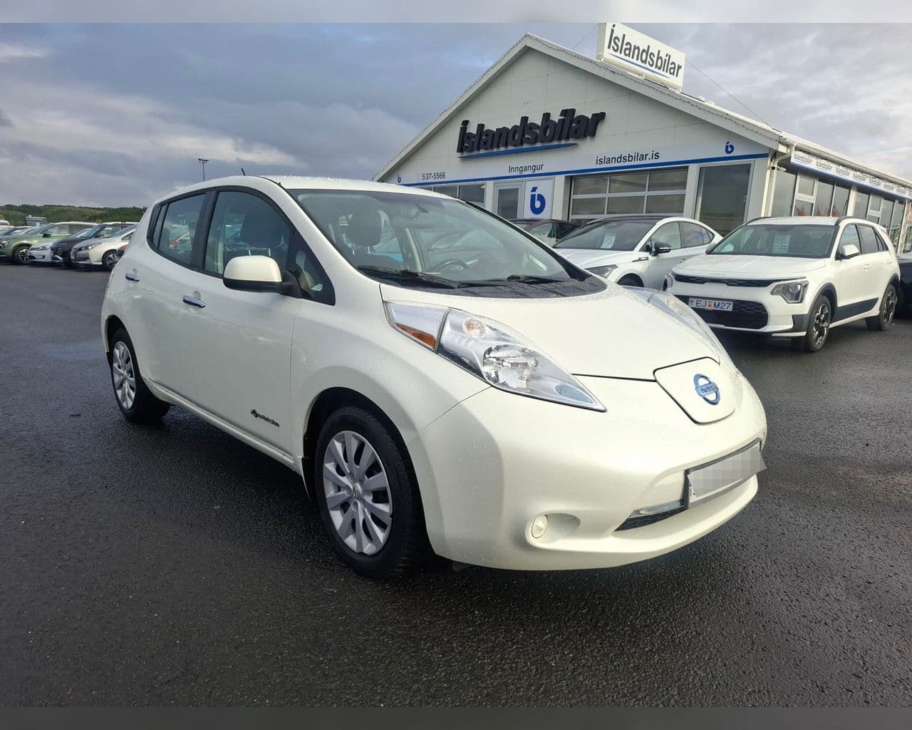 2014 Nissan Leaf