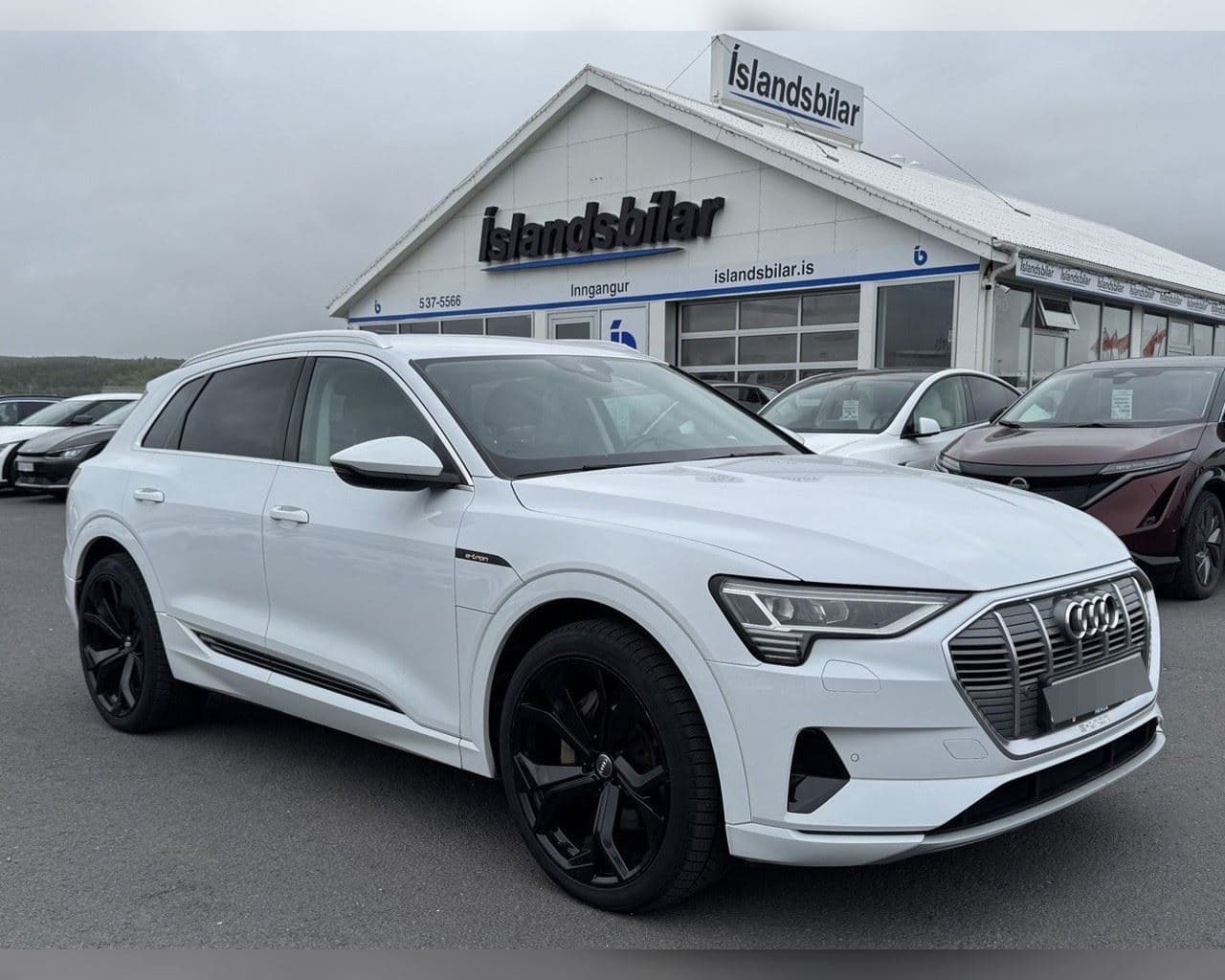 2020 Audi e-tron