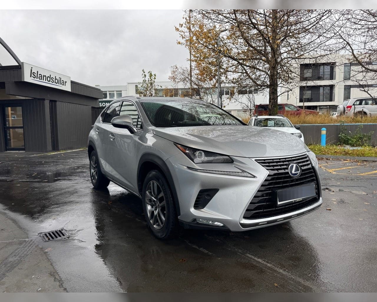 2019 Lexus NX AWD