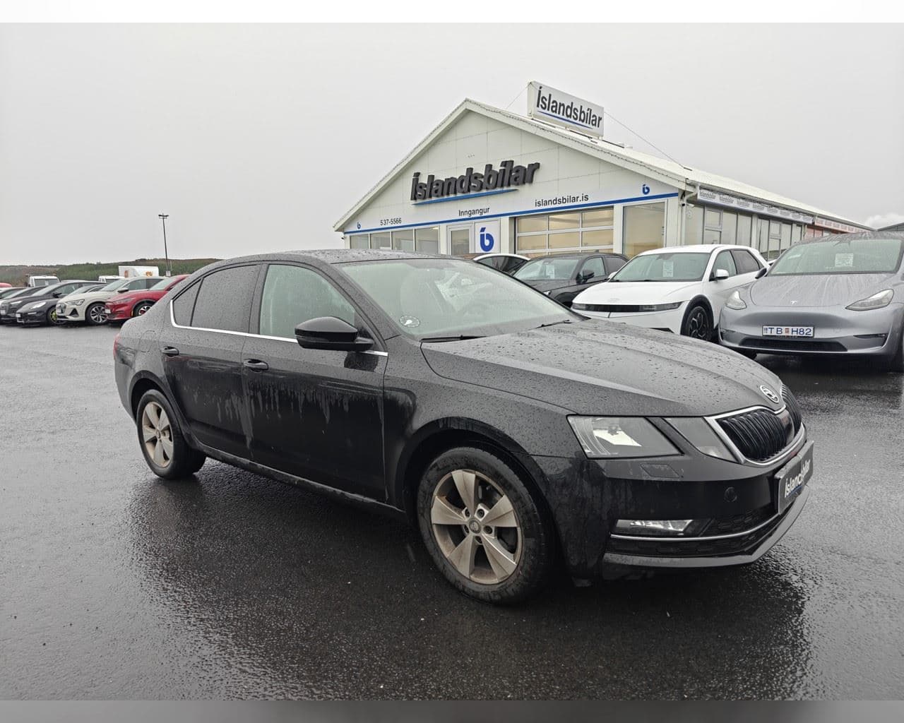 2019 Škoda Octavia