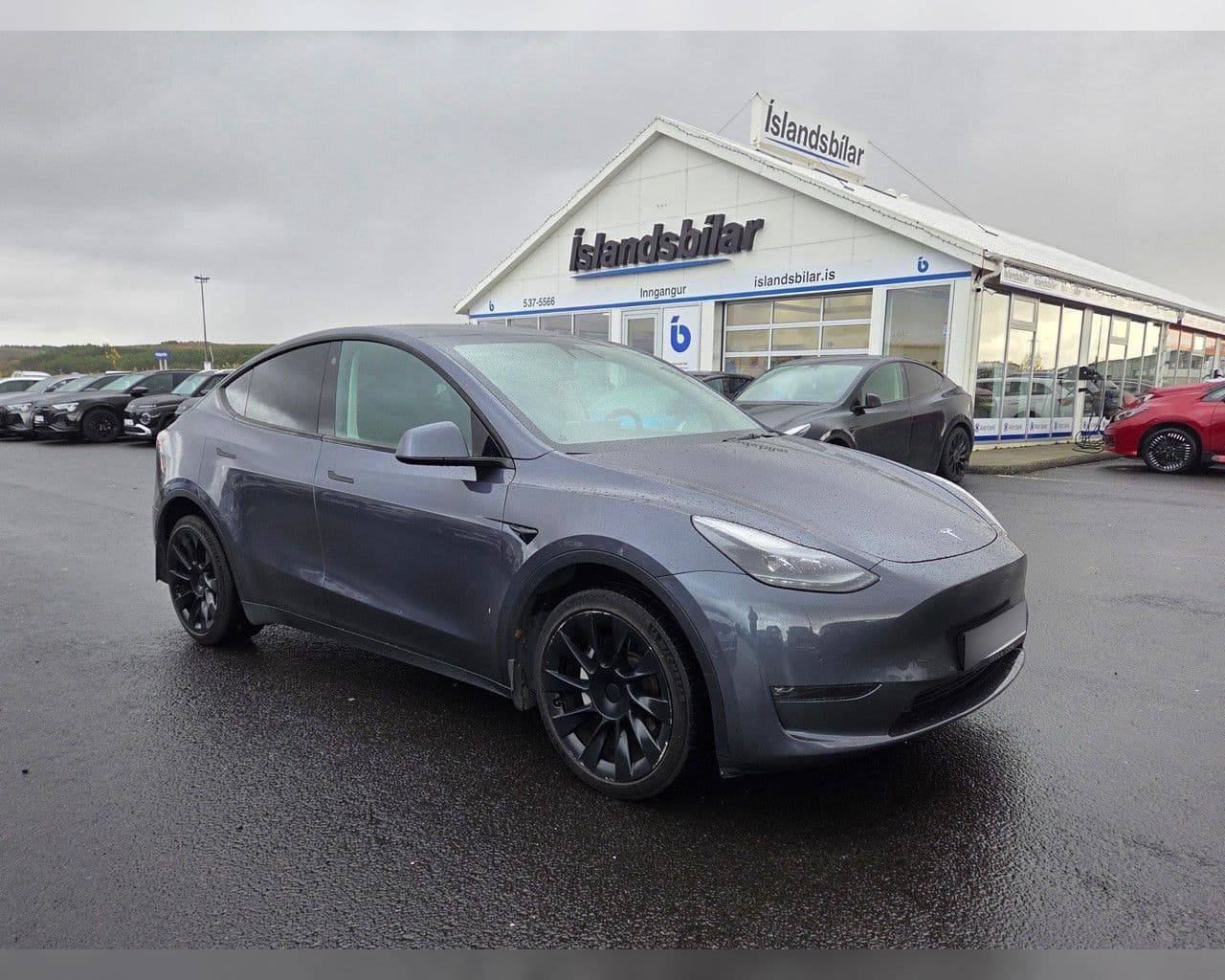 2021 Tesla Model Y