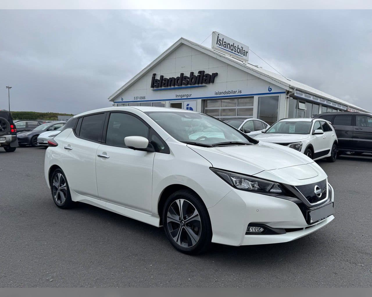 2021 Nissan Leaf
