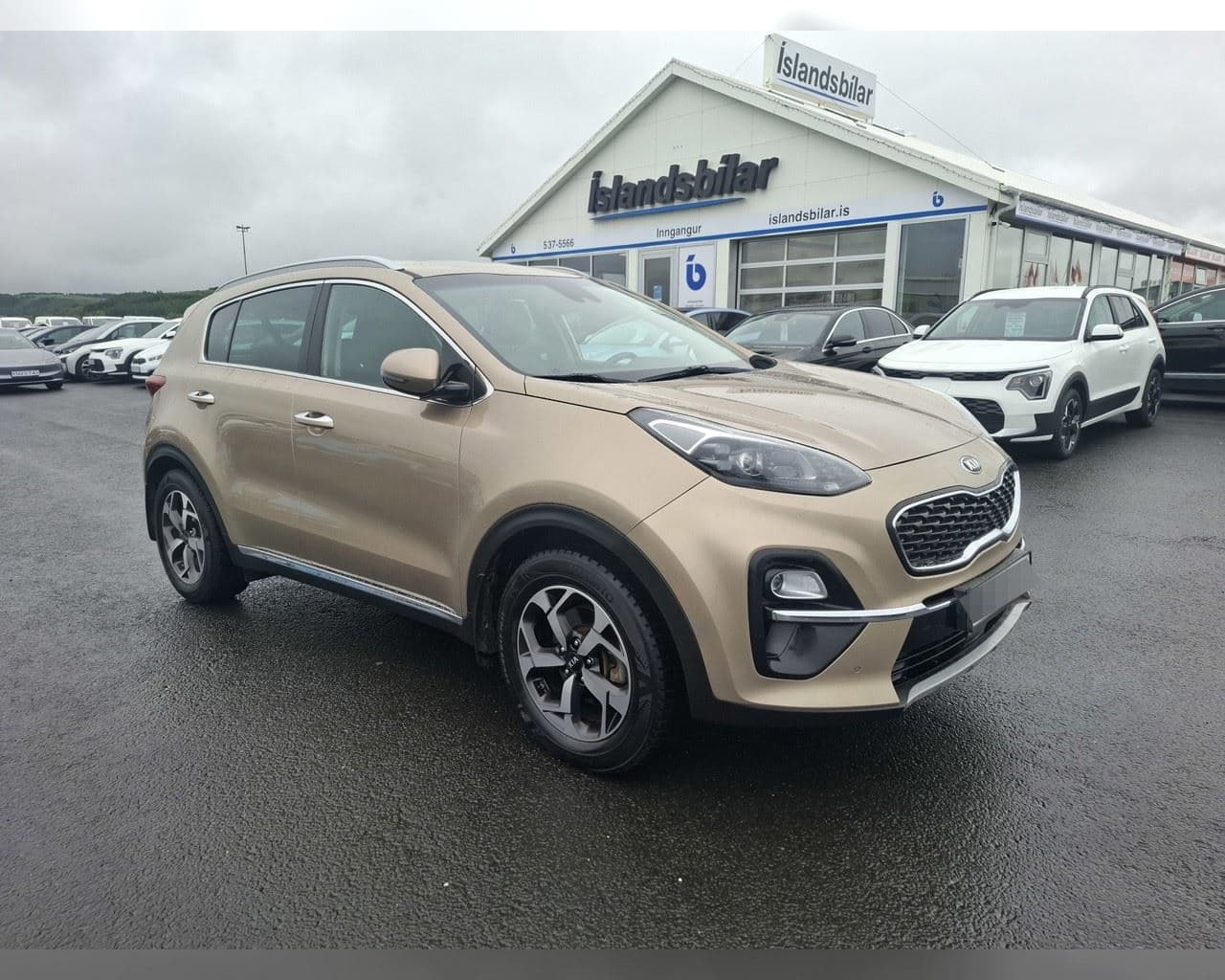 2019 Kia Sportage