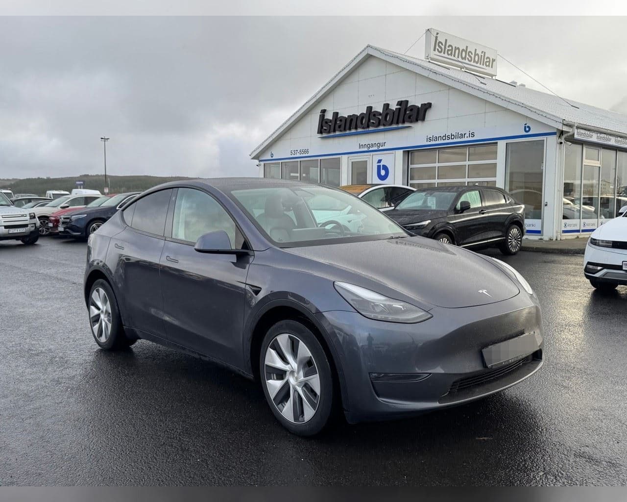 2021 Tesla Model Y