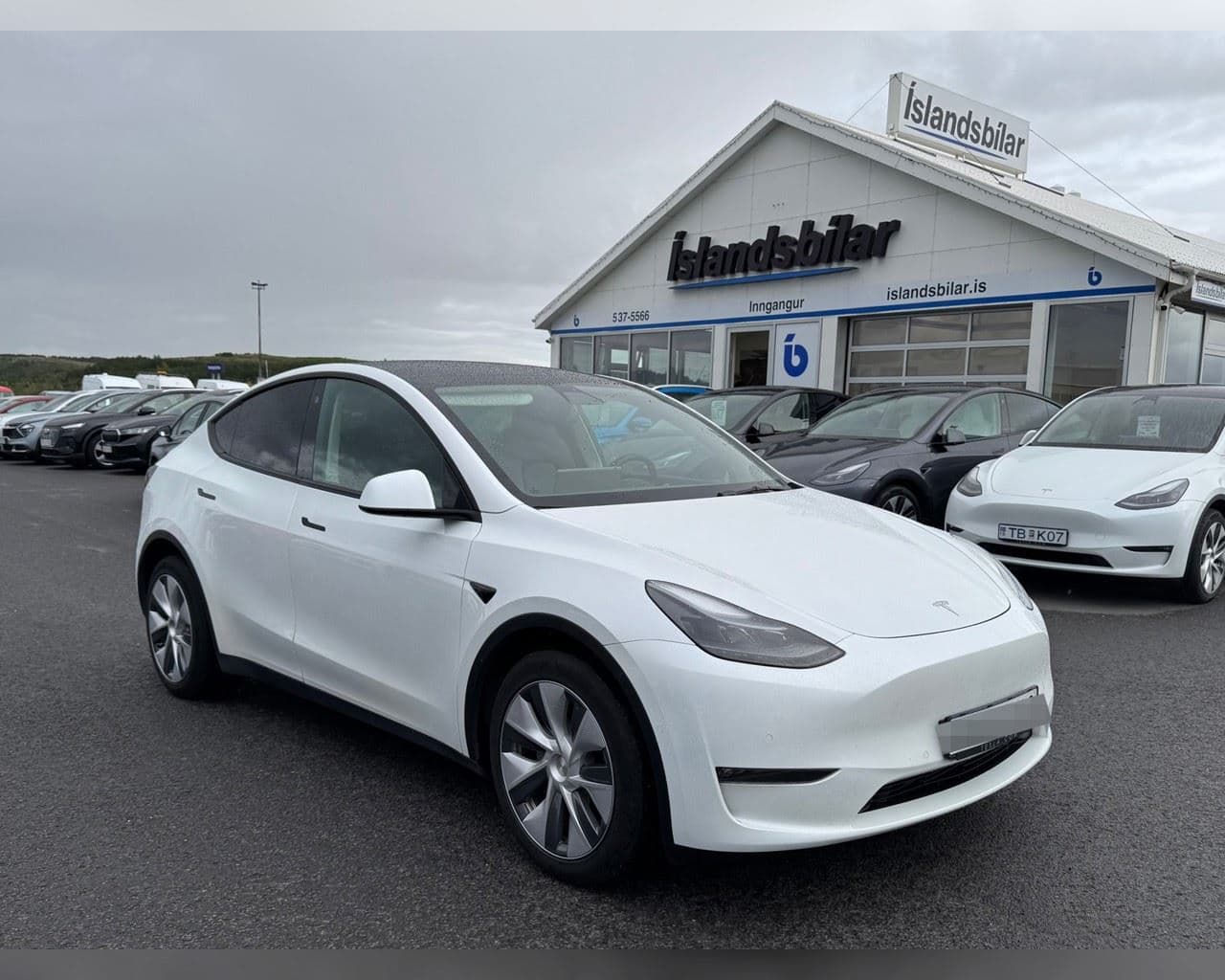 2021 Tesla Model Y
