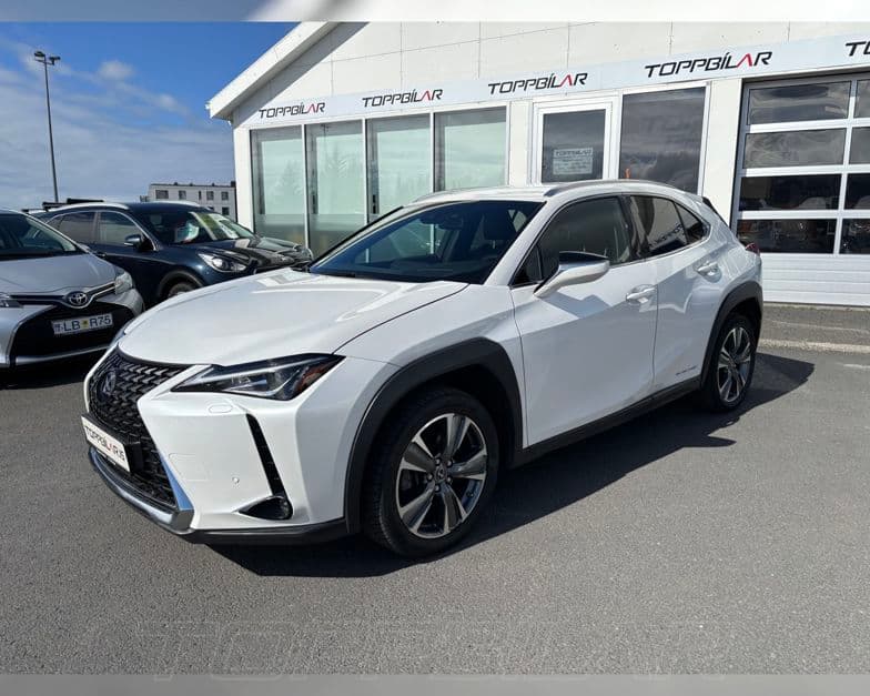 2021 Lexus UX 300e