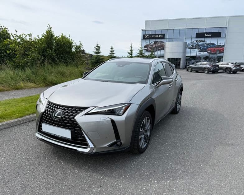 2023 Lexus UX 300e Premium Electric Sóllúga