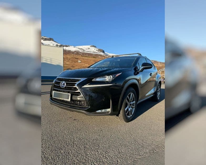 2016 Lexus NX 300h