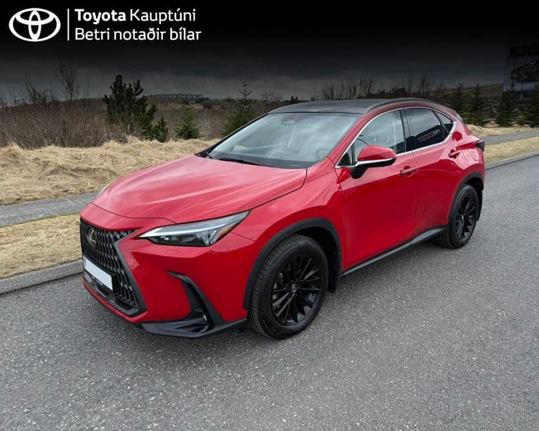 2025 Lexus NX 450h+ EXE PHEV Panorama