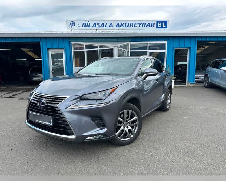 2021 Lexus NX 300h
