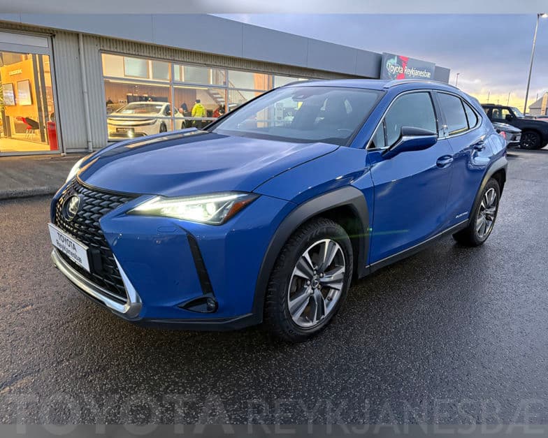 2021 Lexus UX 300e Premium